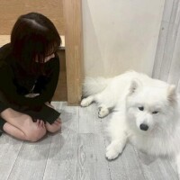 旧??