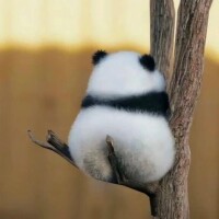 早退