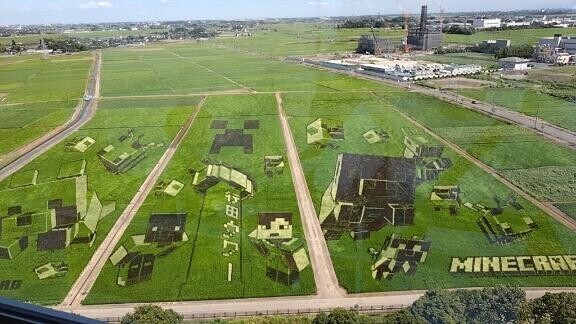 田んぼを見るためだけに建てられたタワー
