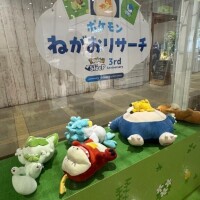 ポケ活?