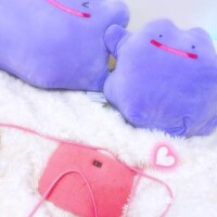移ろふこそ、世のことわり。??*。