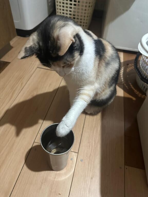 我が子自慢