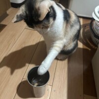 我が子自慢