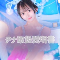 チナの説明書