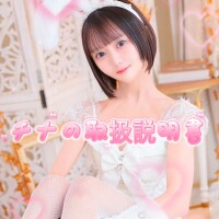 チナの説明書