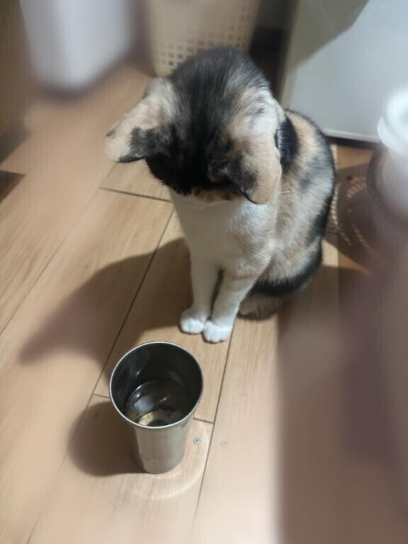 でこフェチ??