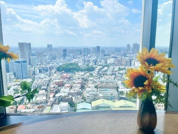 本当に申し訳ございません。