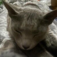 中抜け