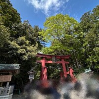 それはまるでおとぎ話のような