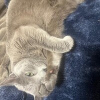 退勤