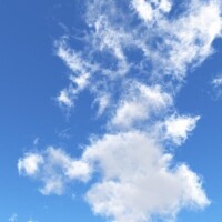アカネ