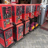 ハツミ