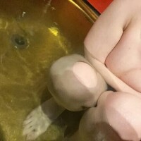 お礼?