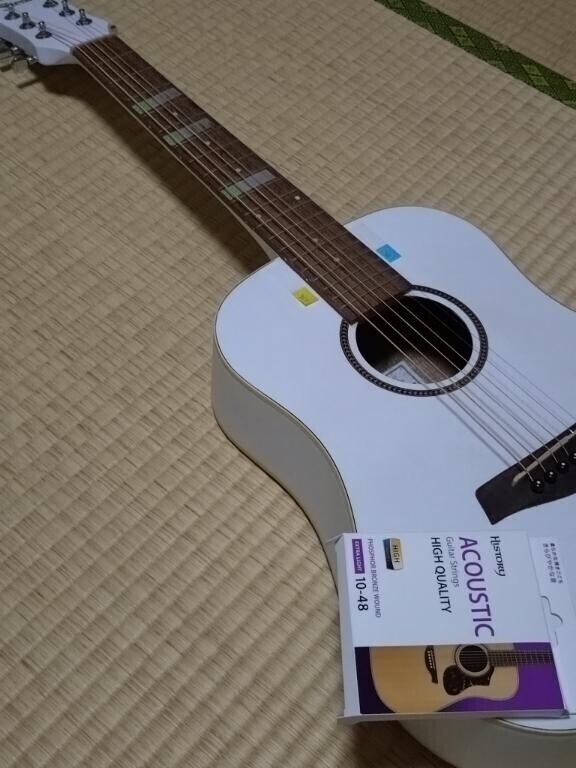 ギターのお手入れ