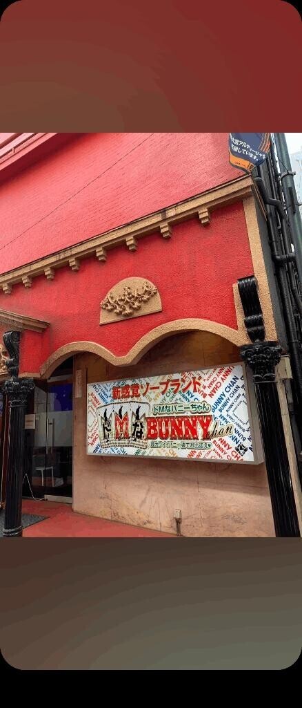 今日は体験入店