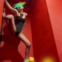 なにか...い、る...??*。