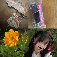 今更、コスモス????