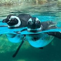 来週のシフト???