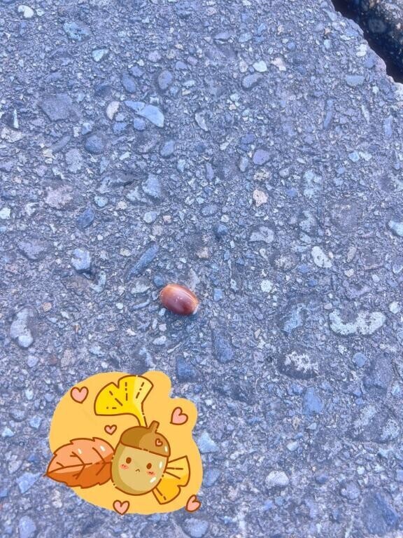 どんな時にも訪れるの、信じていれば??*。