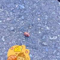 どんな時にも訪れるの、信じていれば??*。