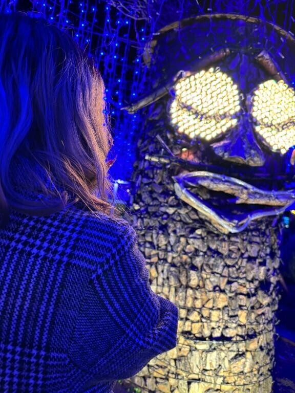 紅葉とイルミネーション