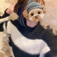 気合いのカラー????