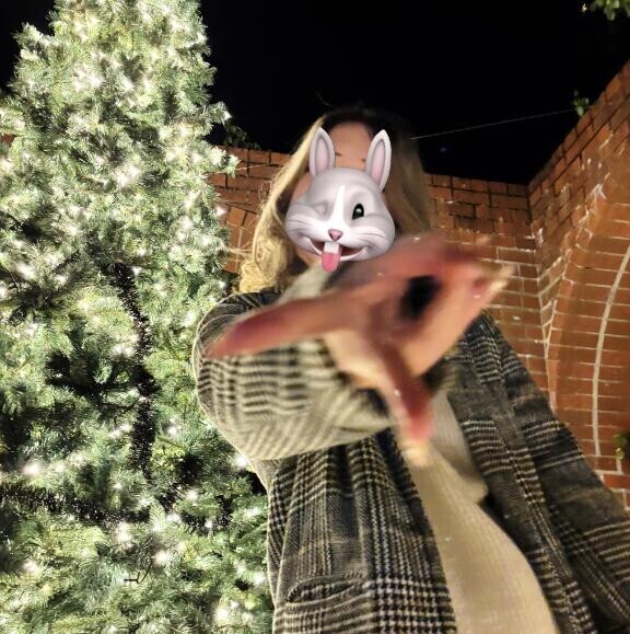 12月始まったナ??