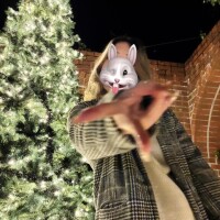 12月始まったナ??