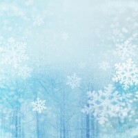 今週のシフト???