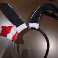 出勤いたしました