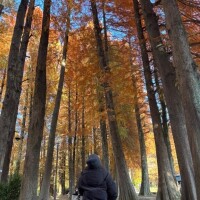 ダメ絶対！??♀??