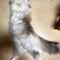 9時から予約いただいてたお兄さん??