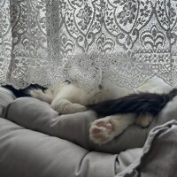 ( ⊙ω⊙ )ﾎﾞｸｵｷﾀ