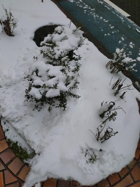 出勤いたしました