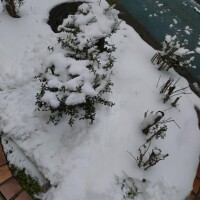 出勤いたしました