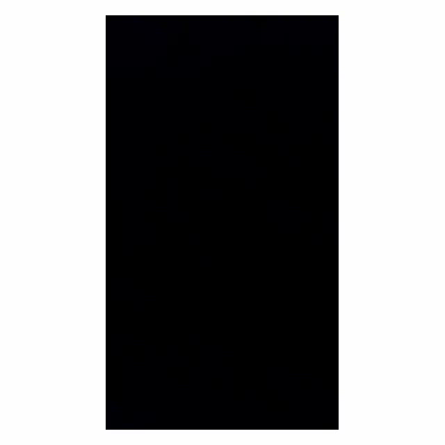 数時間限定動画(音声注意)*。