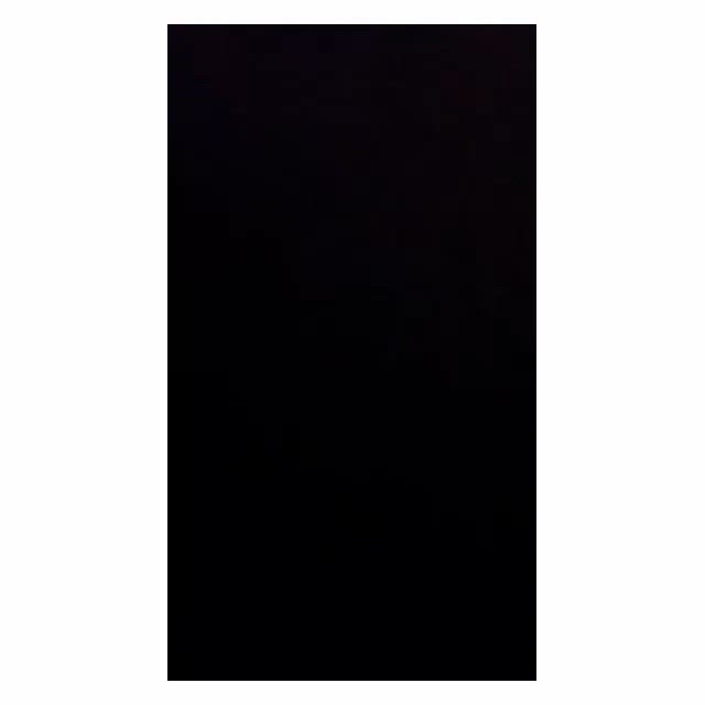 数時間限定動画(音声注意)*。