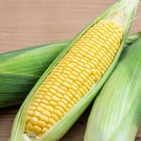 [お題]from:ジンギスカン未経験さん