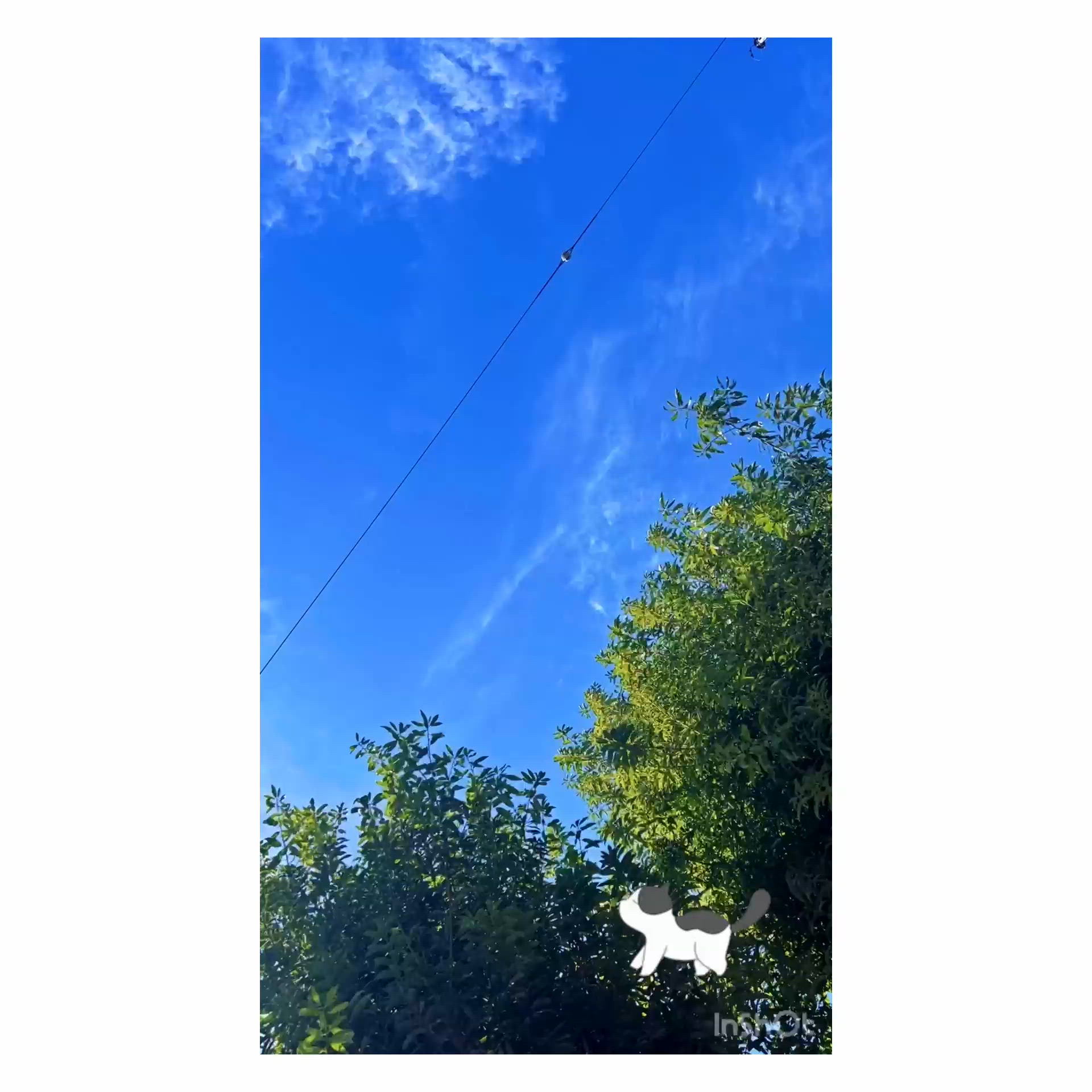 近状報告、Part.2*。