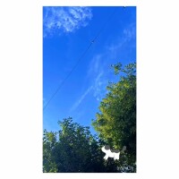 近状報告、Part.2*。