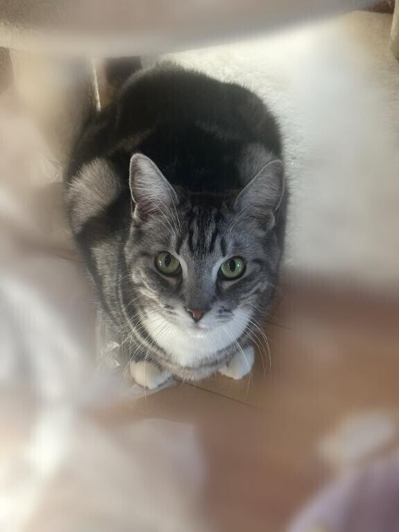 ( ･´ｰ･｀)ﾄﾞﾔｧ