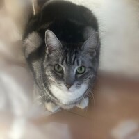 ( ･´ｰ･｀)ﾄﾞﾔｧ