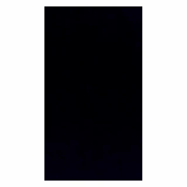 数時間限定動画(音声注意)*。