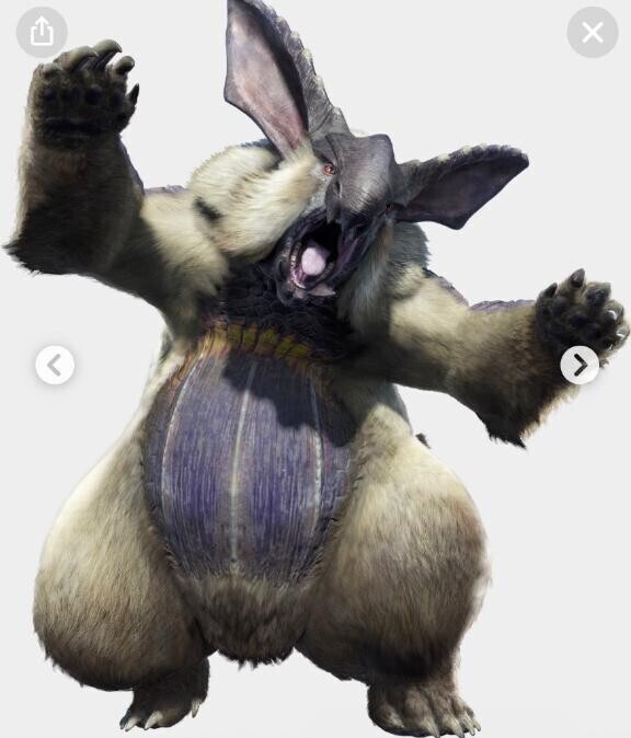 今日お休みします