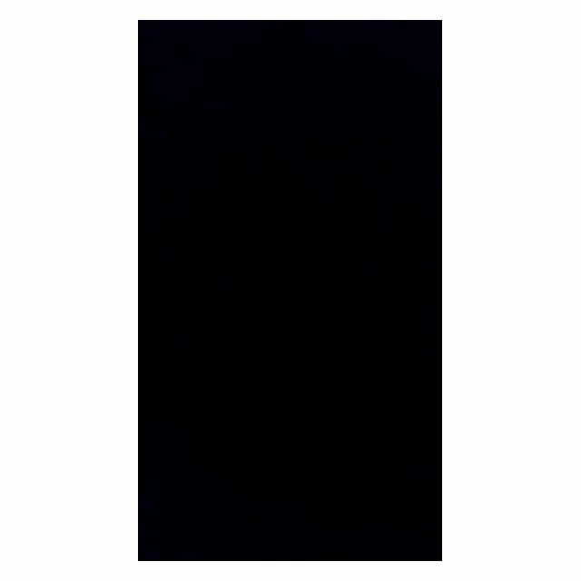 数時間限定動画(音声注意)*。