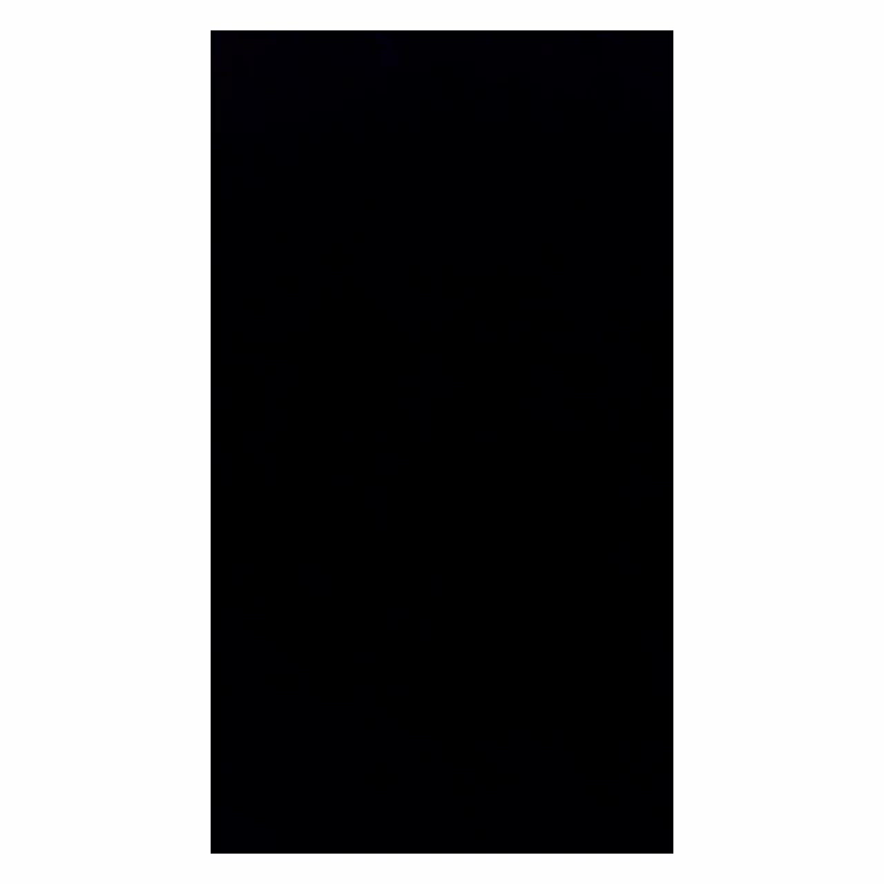 数時間限定動画(音声注意)*。