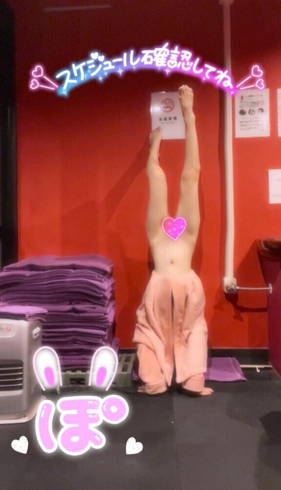 ＼next work day bunny／??*。