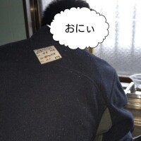 ばれてない？（・∀・）ﾆﾔﾆﾔ