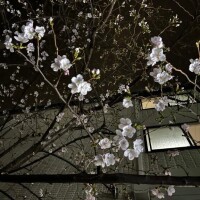 [お題]from:枝豆さん