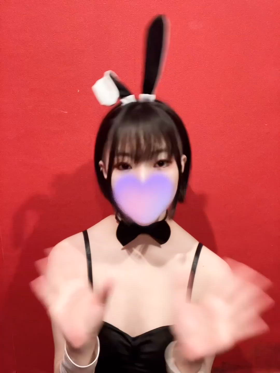 本日のDOGA